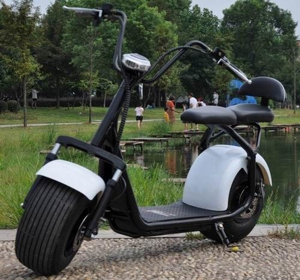 China des Motorradrollers 2 des fetten Reifens elektrischer Rollererwachsenroller citycoco Rad fournisseur
