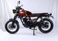 Pole-Art leichtes 125cc Motorrad, Straßen-legales Motorrad für Erwachsenen fournisseur